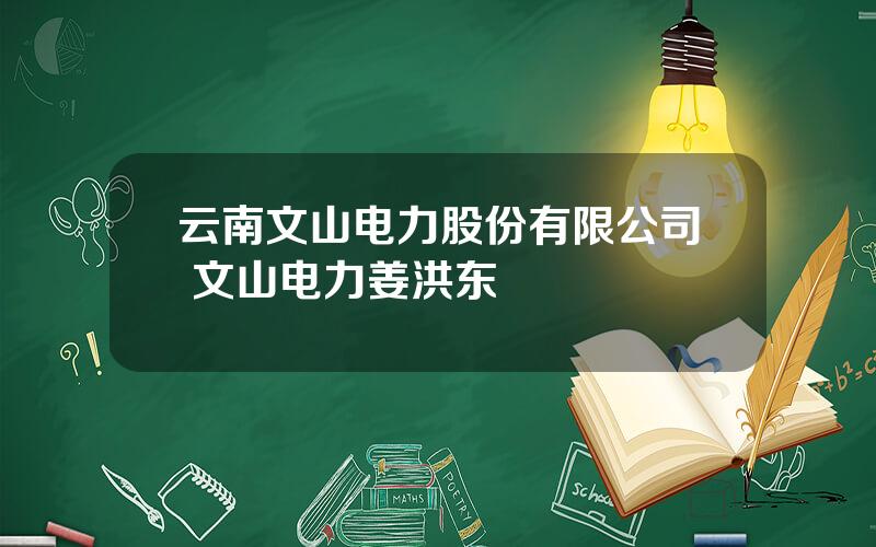 云南文山电力股份有限公司 文山电力姜洪东